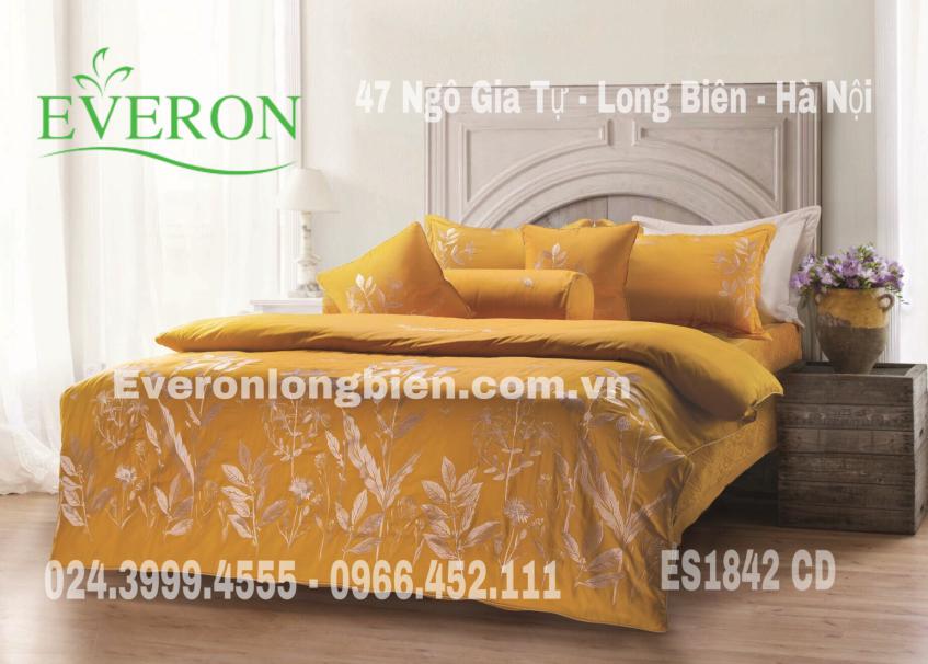 Everon-ES1842